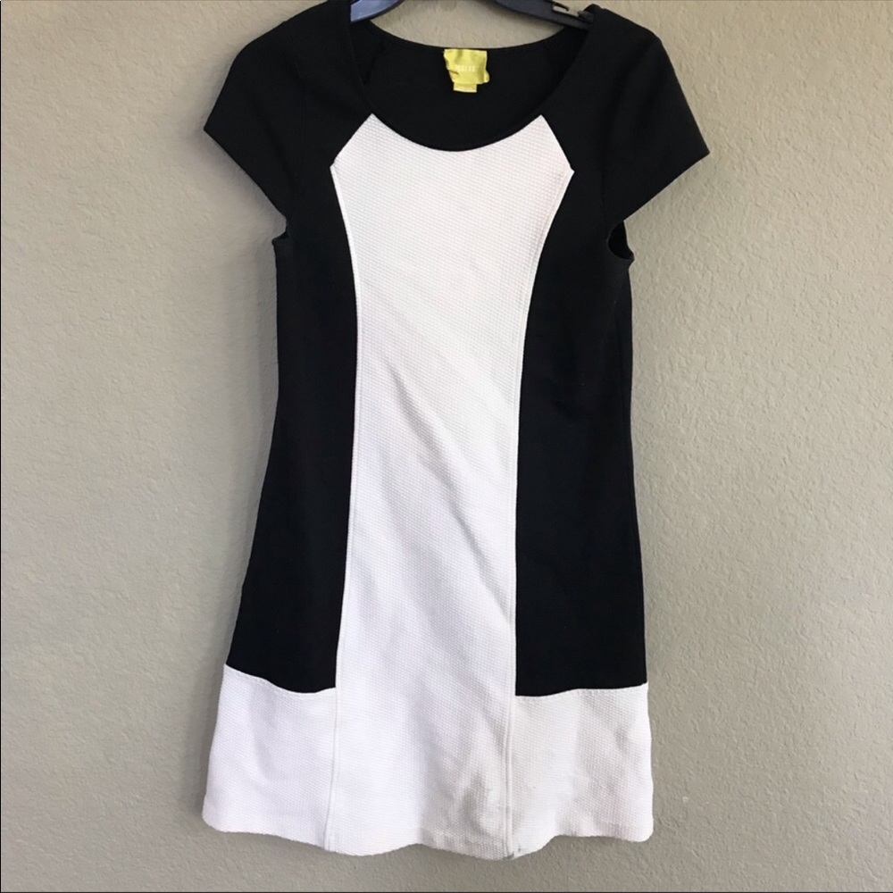 Anthropologie Maeve Corby Shift Dress View 3